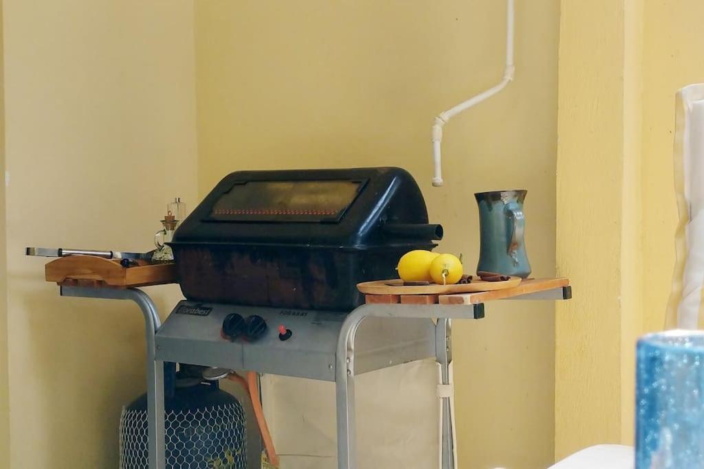 Garden Apartment With Bbq In The Athenian Riviera Екстер'єр фото